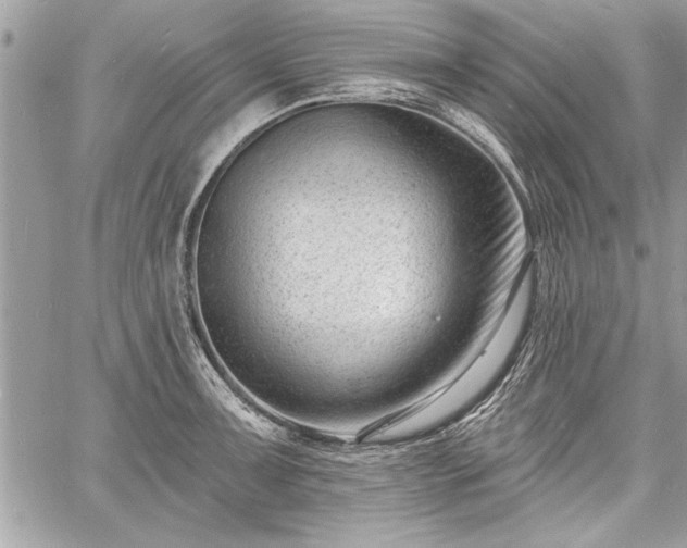 X0000060741091200511141127