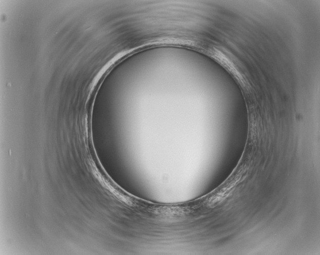 X0000060741092200511141127