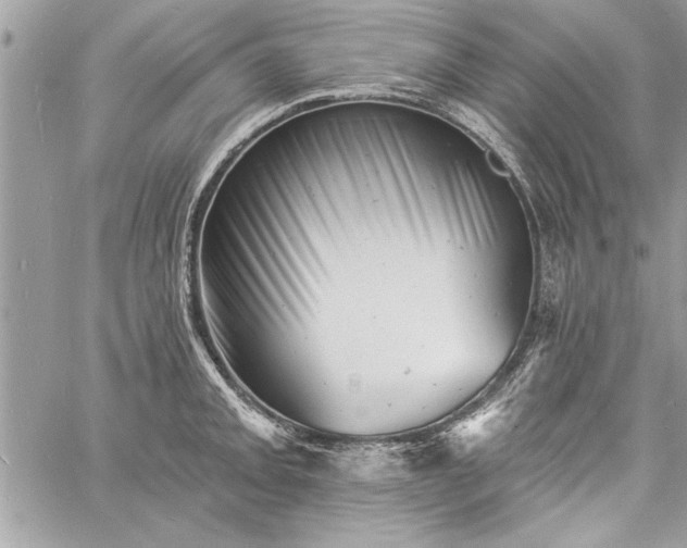 X0000060741093200511141126