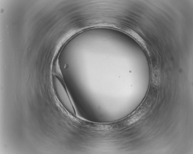 X0000060741096200511141126