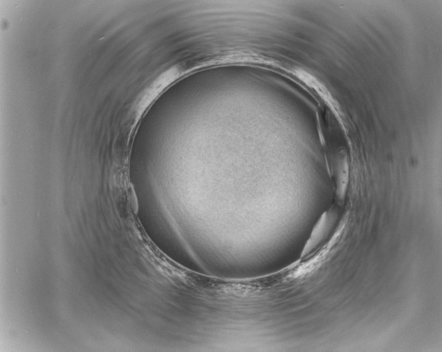 X0000060741097200511141126