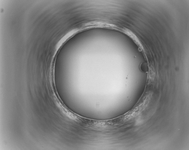 X0000060741098200511141126