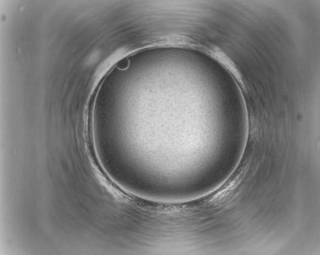 X0000060741099200511141126