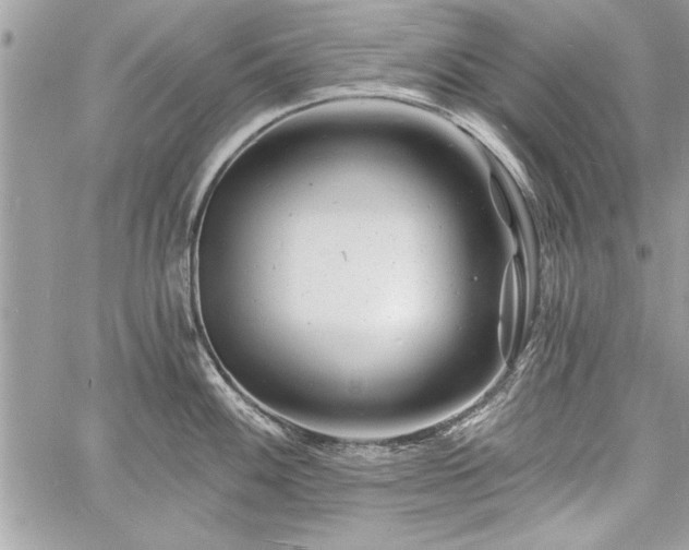 X0000060741100200511141126