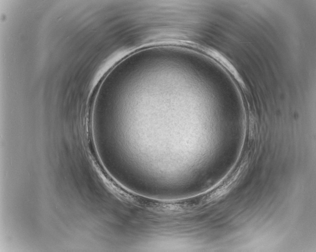 X0000060741101200511141126