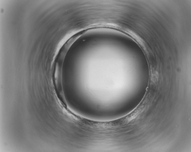 X0000060741102200511141126