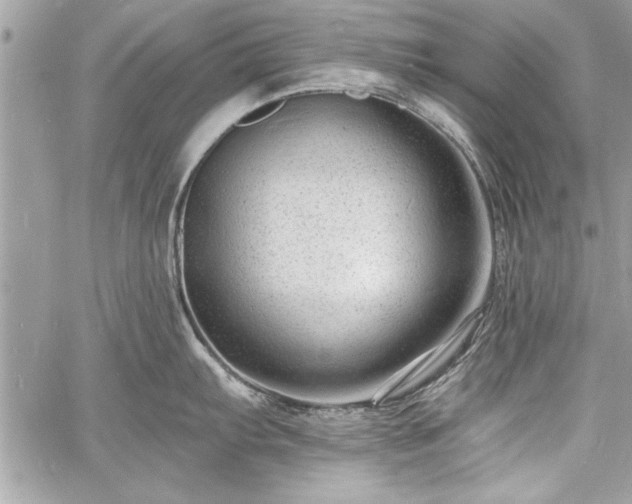 X0000060741103200511141126