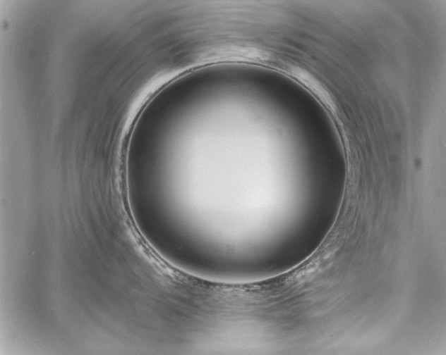 X0000060741104200511141126