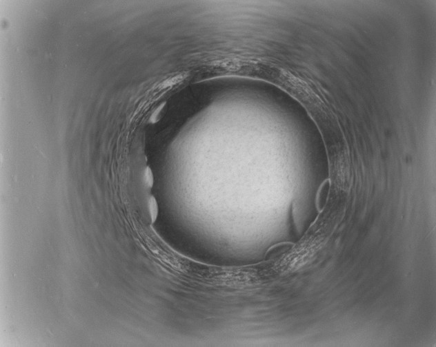 X0000060741105200511141125