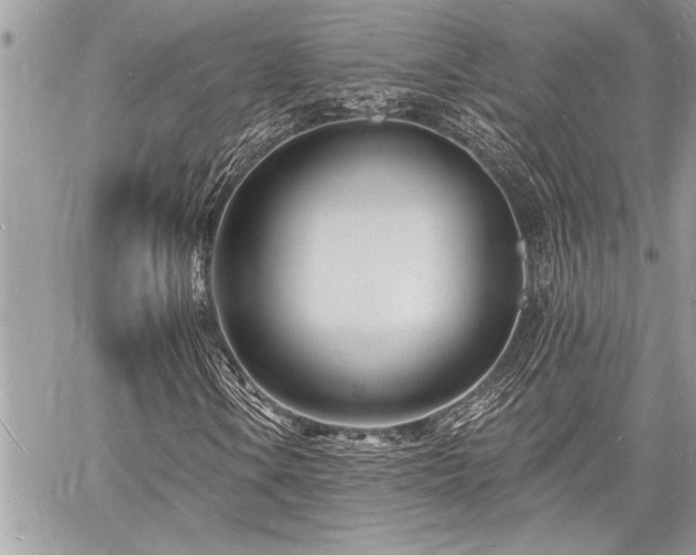 X0000060741106200511141126