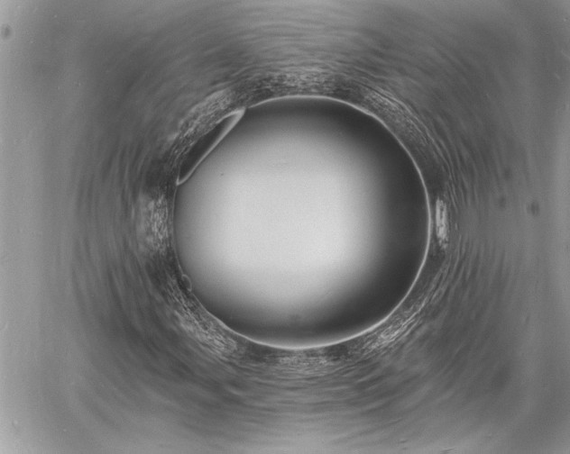 X0000060741107200511141126