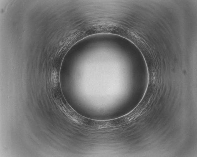 X0000060741108200511141126