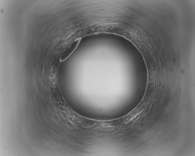 X0000060741109200511141126