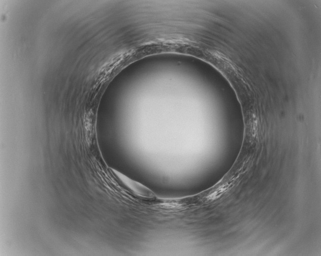 X0000060741110200511141126