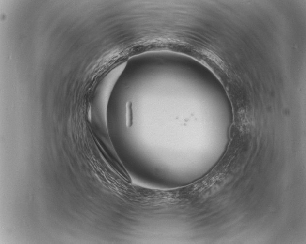 X0000060741111200511141126