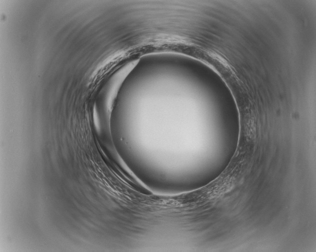 X0000060741112200511141126