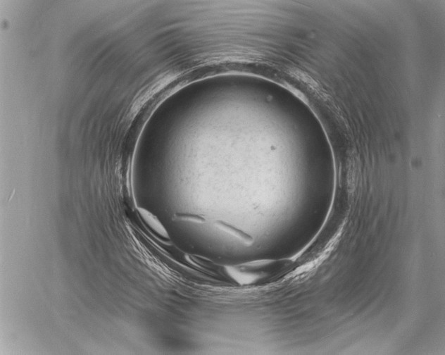 X0000060741113200511141126