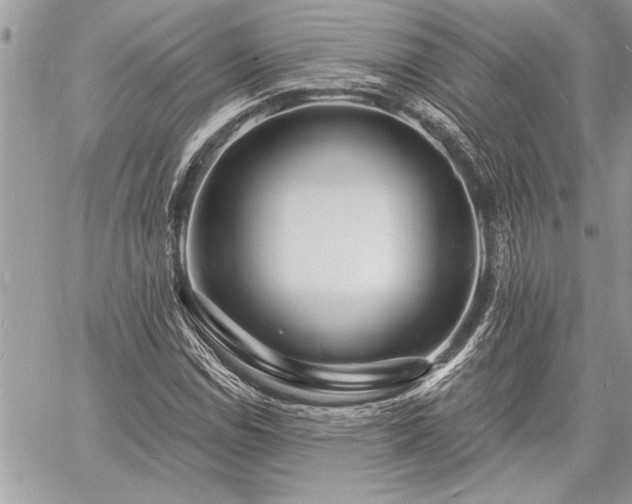 X0000060741114200511141126