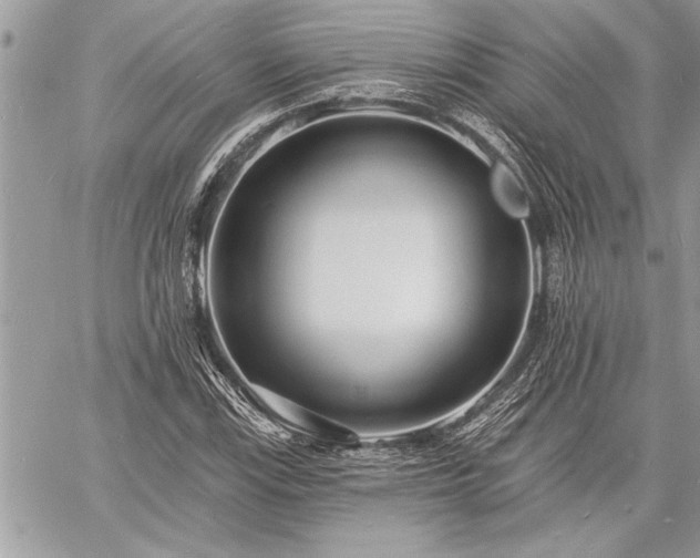 X0000060741115200511141126