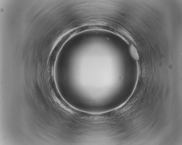 X0000060741116200511141126