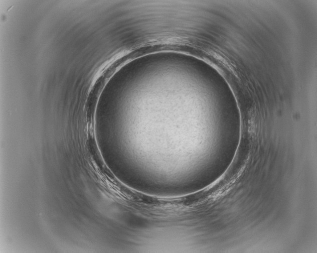 X0000060741117200511141126