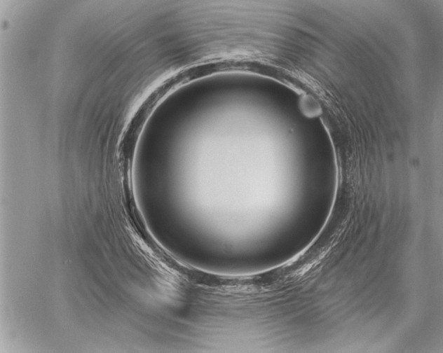 X0000060741118200511141126