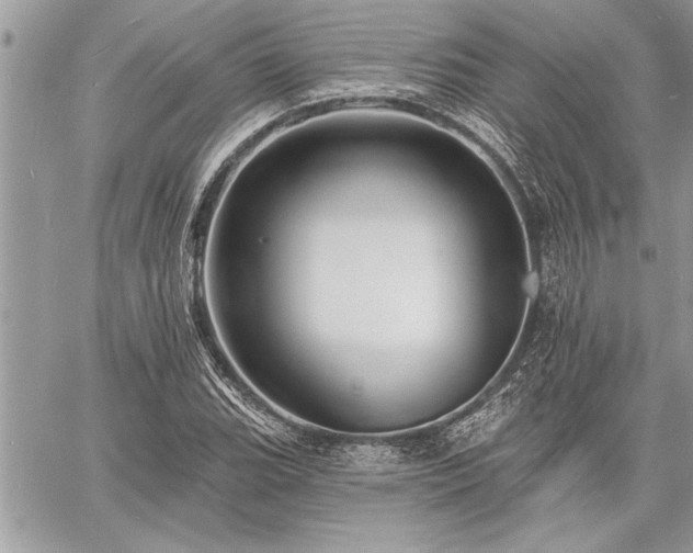 X0000060741119200511141126