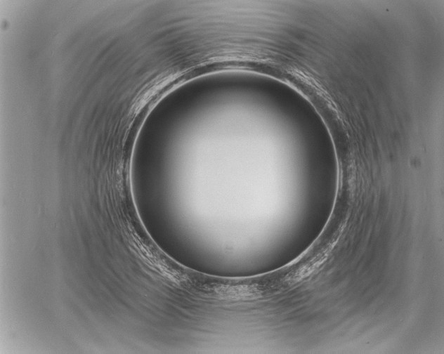 X0000060741121200511141126