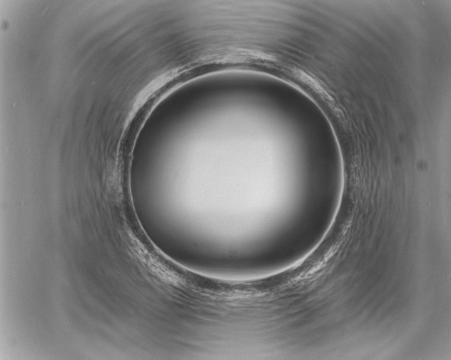 X0000060741122200511141126