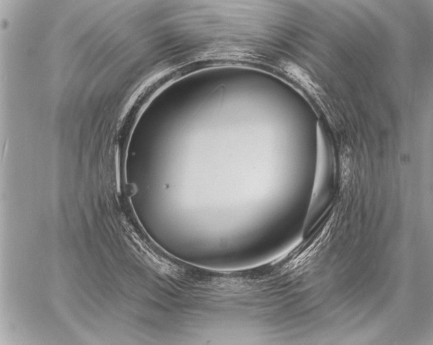 X0000060741123200511141126