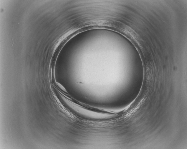 X0000060741125200511141126