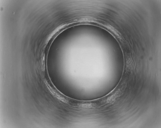 X0000060741126200511141126