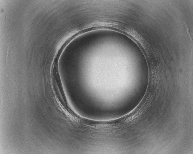 X0000060741127200511141126