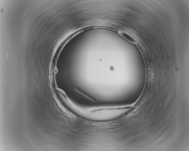 X0000060741128200511141126