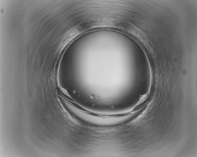 X0000060741129200511141126