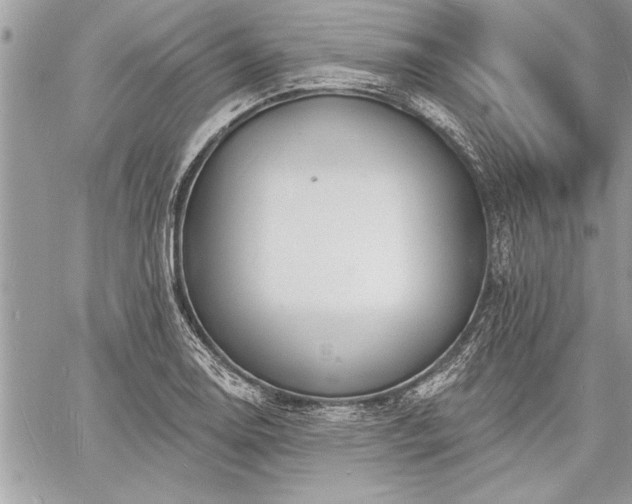 X0000060741130200511141126