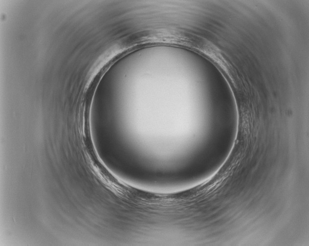 X0000060741131200511141126