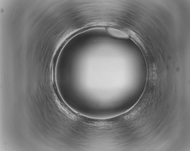 X0000060741132200511141126