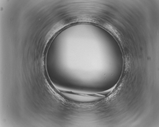 X0000060741133200511141126