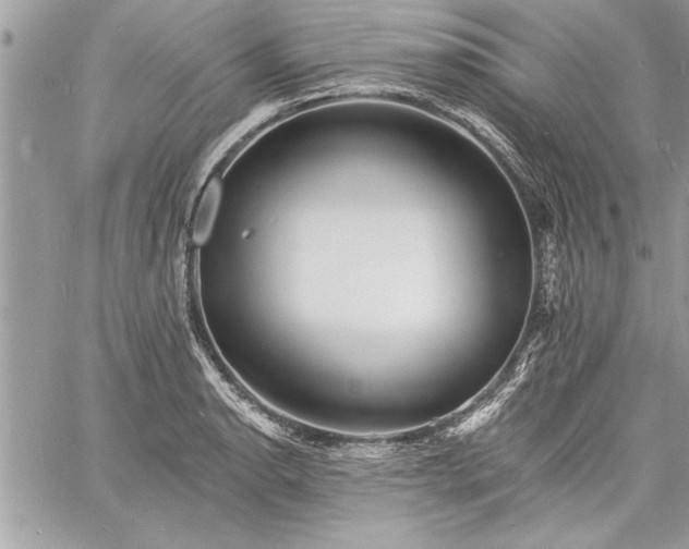 X0000060741134200511141126