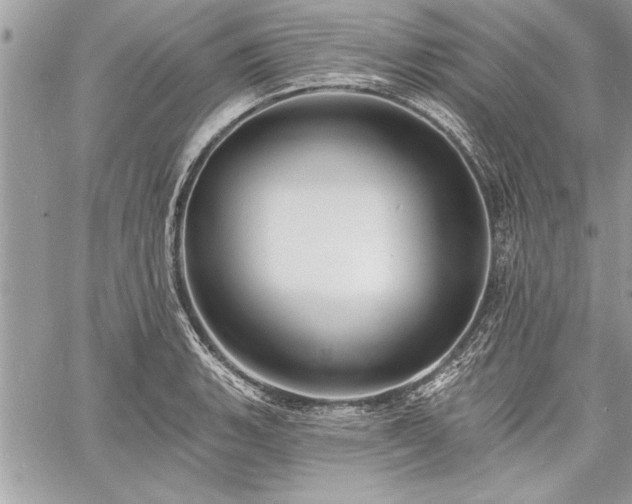 X0000060741135200511141126