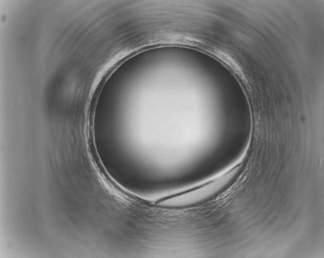 X0000060741136200511141126