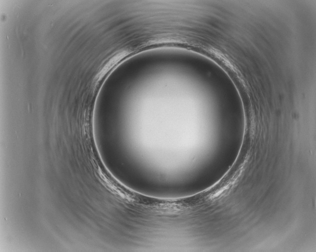 X0000060741137200511141126