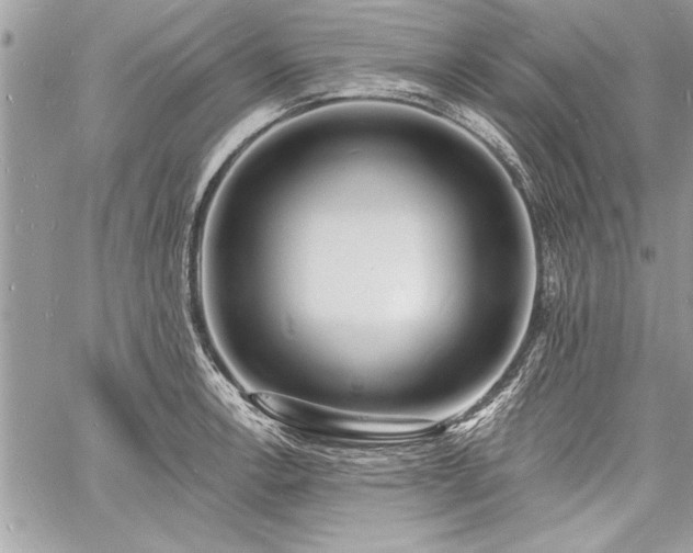 X0000060741138200511141126