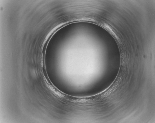 X0000060741140200511141126