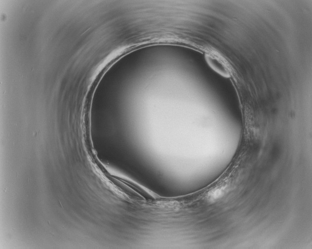 X0000060741142200511141126