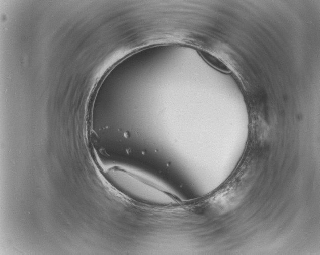 X0000060741143200511141126