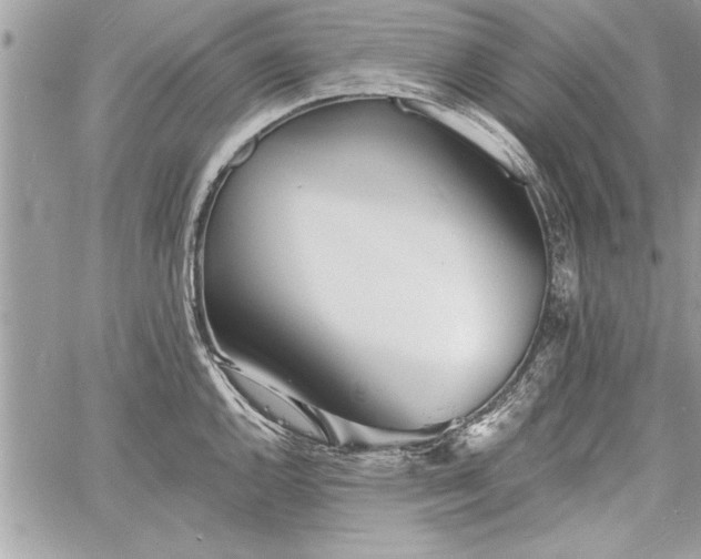 X0000060741144200511141126