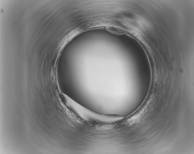 X0000060741145200511141126