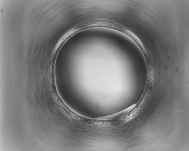 X0000060741146200511141126